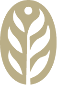 olio icon 1