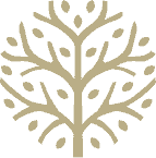 olio icon 3